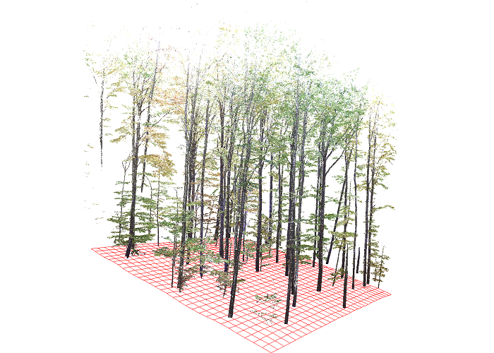 Trees segmentation